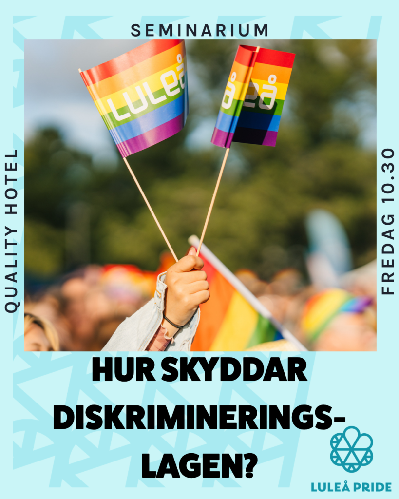 HUR SKYDDAR DISKRIMINERINGSLAGEN