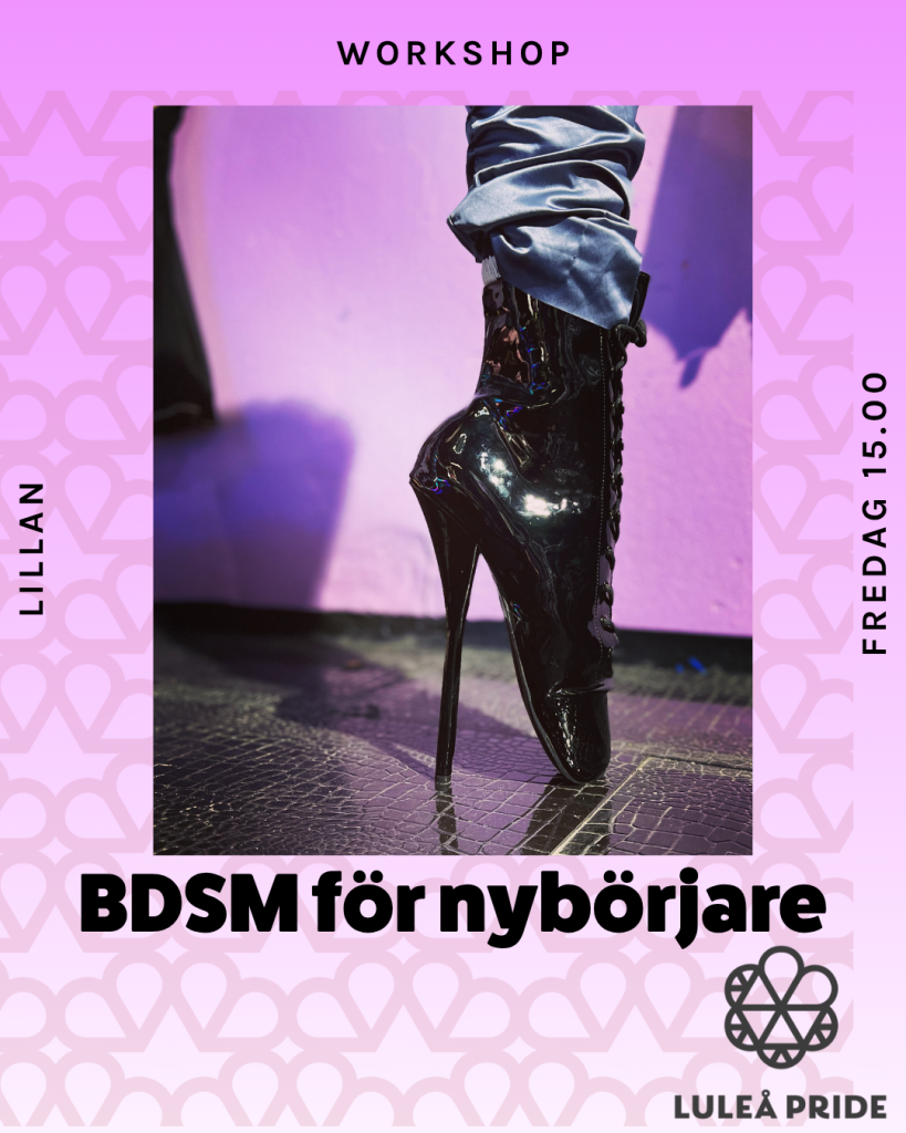 BDSM för nybörjare
